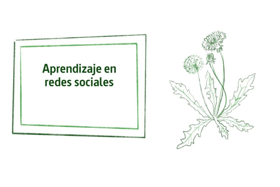Diente de león