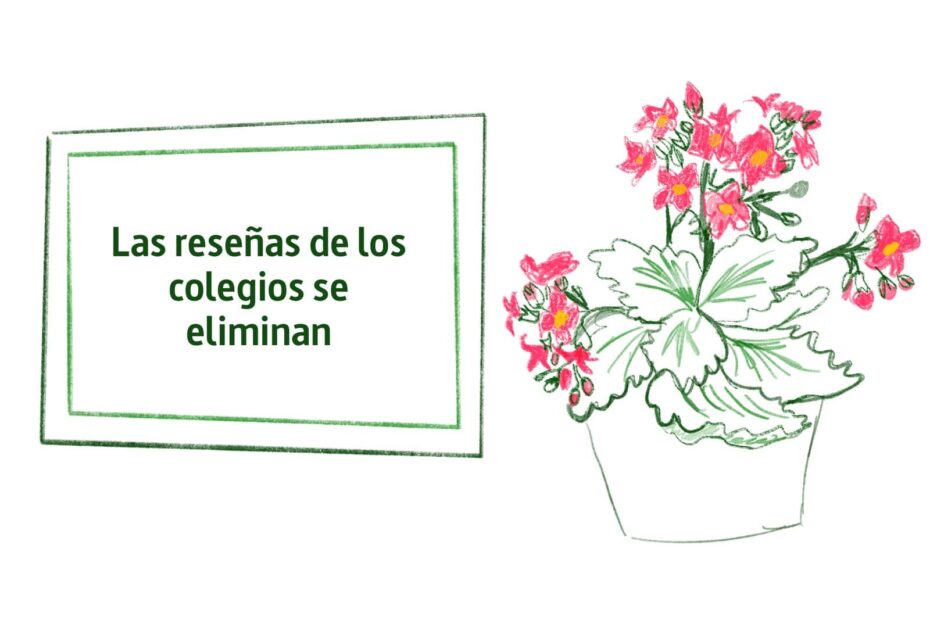 Google elimina las reseñas de los colegios